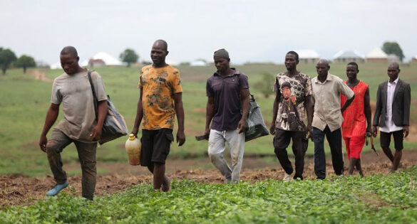 Senate Urges Emergency Support For Farmers Amid Collapse Of Produce Prices