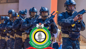 'Ignore It' - DSS Warns On Viral Recruitment Exercise