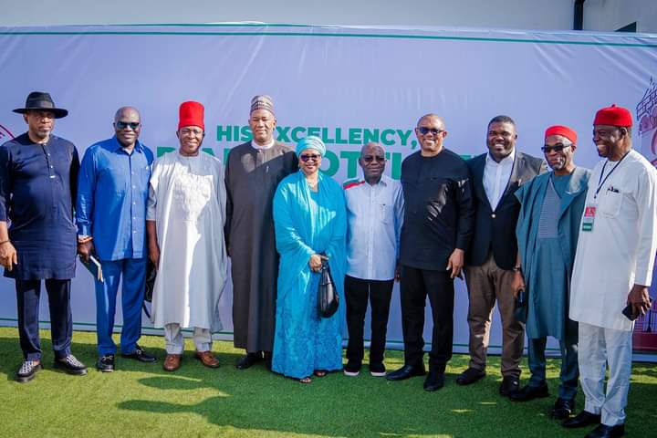 Nnenadi Usman, Peter Obi, Alex Otti