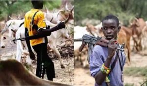 We Have Records, Herders Suffer More Attacks Across Nigeria - Fulani Leader Alleges