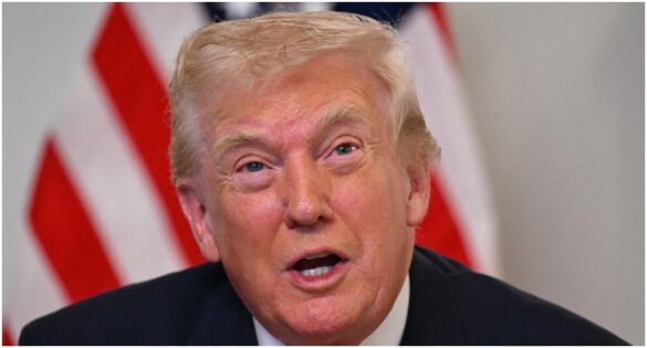 33.3% Nigerian Immigrant Households Receive US Assistance — Trump