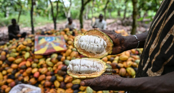 Nigeria’s Non-Oil Trade Export Surges By 21%