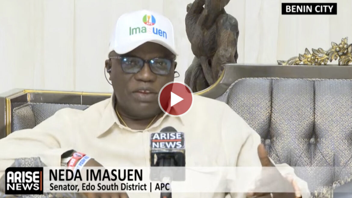 Neda Imasuen: Only The APC National Working Committee Can Announce Primary Results