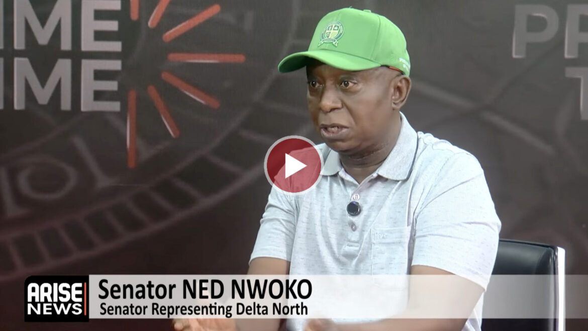 Ned Nwoko: Delta APC Primaries Process Manipulated By State Government