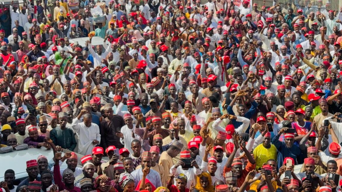 Kwankwasiyya, NNPP Petition INEC Over Exclusion Of 2027 Governorship Candidates