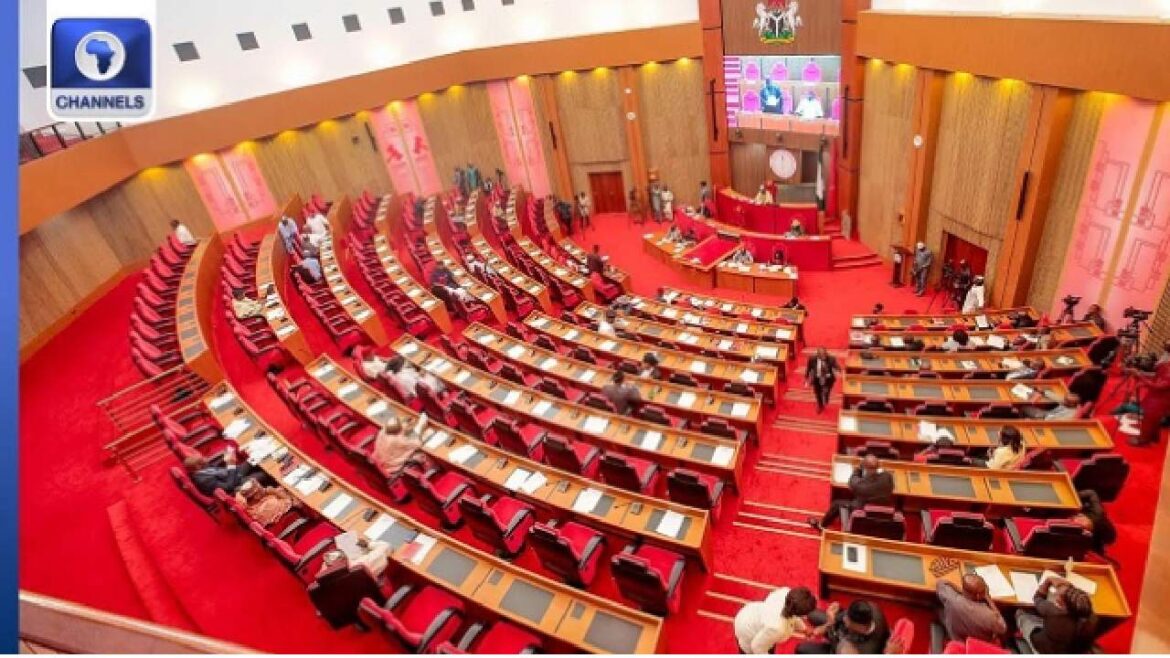 Senate Rejects NMDPRA’s 2022, 2023 PMS Import Records Over Disparities With NNPC